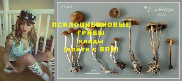 spice Вяземский