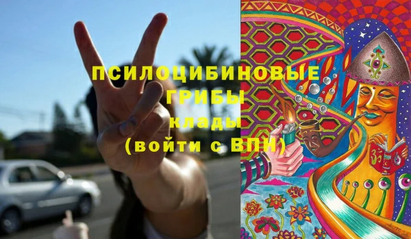 дживик Семикаракорск