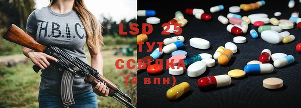 крисы Вязьма